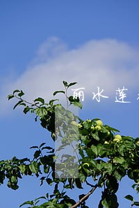 丽水莲都法院桂祖华 丽水莲都法院桂祖华