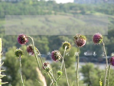 丽水诉讼代理贸易企业 丽水诉讼代理贸易企业