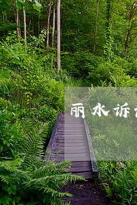 丽水诉讼仲裁委员会厂家批发价格 丽水诉讼仲裁委员会厂家批发价格