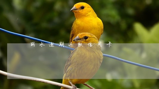 丽水逾期还款信用卡 丽水逾期还款信用卡