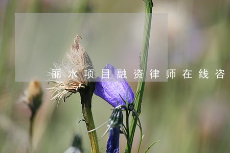 丽水项目融资律师在线咨询 丽水项目融资律师在线咨询