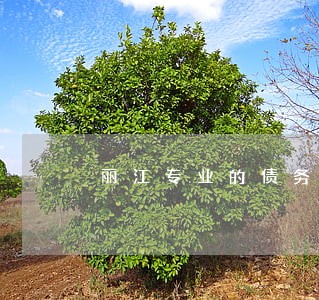 丽江专业的债务纠纷律师要多少钱 丽江专业的债务纠纷律师要多少钱