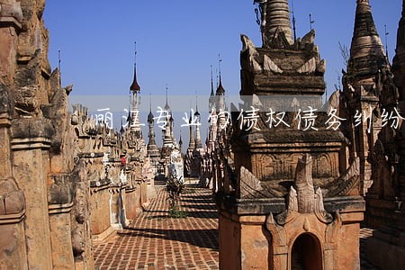 丽江专业的债权债务纠纷律师费用