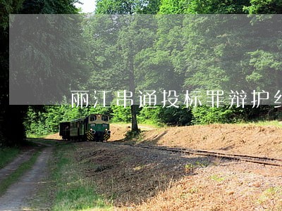丽江串通投标罪辩护纠纷律师 丽江串通投标罪辩护纠纷律师