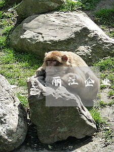 丽江企业债务纠纷律师 丽江企业债务纠纷律师