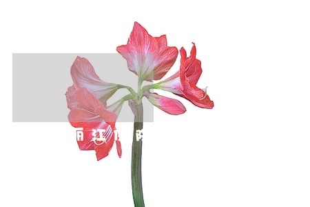 丽江保险合同纠纷律师 丽江保险合同纠纷律师
