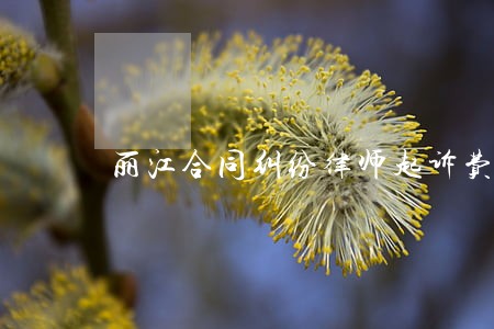 丽江合同纠纷律师起诉费 丽江合同纠纷律师起诉费
