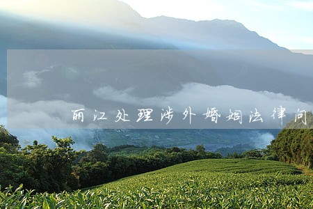 丽江处理涉外婚姻法律问题律师 丽江处理涉外婚姻法律问题律师