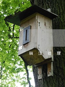 丽江处理遗赠法律问题律师 丽江处理遗赠法律问题律师