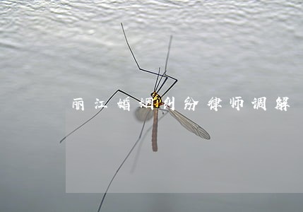 丽江婚姻纠纷律师调解 丽江婚姻纠纷律师调解