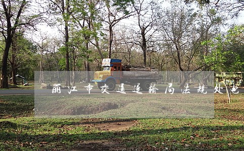 丽江市交通运输局法规处电话