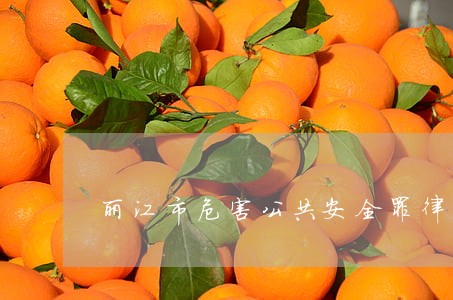 丽江市危害公共安全罪律师咨询 丽江市危害公共安全罪律师咨询