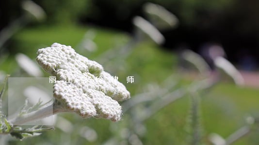 丽江彭玲律师
