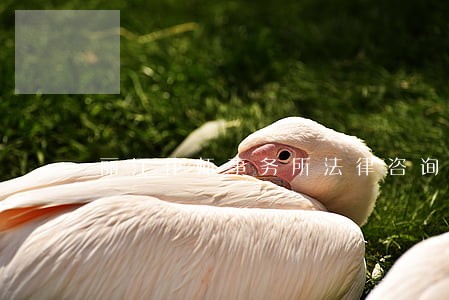 丽江律师事务所法律咨询 丽江律师事务所法律咨询