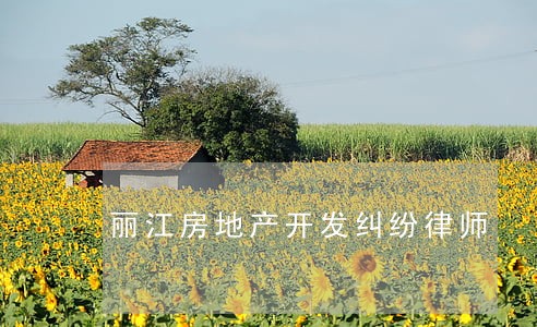 丽江房地产开发纠纷律师 丽江房地产开发纠纷律师