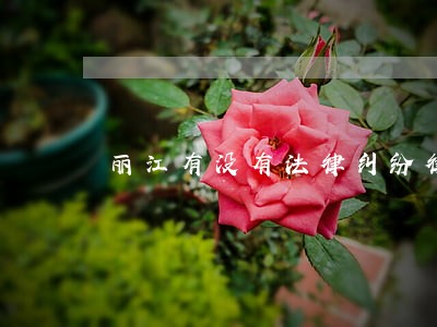 丽江有没有法律纠纷律师费用 丽江有没有法律纠纷律师费用