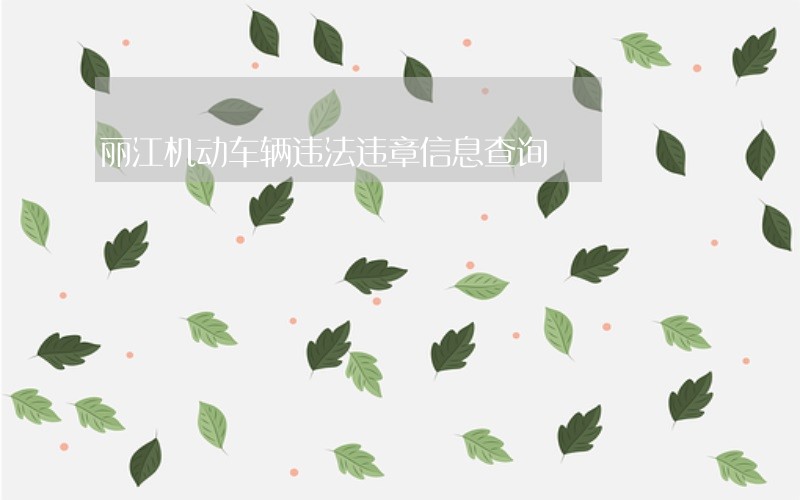 丽江机动车辆违法违章信息查询