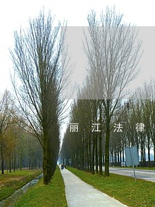 丽江法律咨询 丽江法律咨询