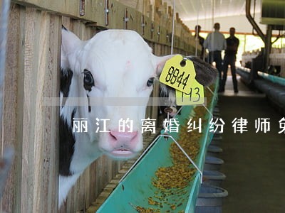 丽江的离婚纠纷律师免费咨询热线 丽江的离婚纠纷律师免费咨询热线