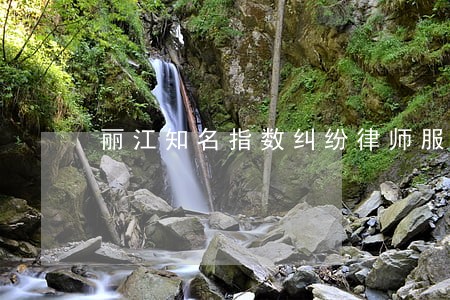 丽江知名指数纠纷律师服务费用 丽江知名指数纠纷律师服务费用