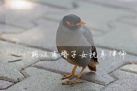 丽江离婚子女抚养律师 丽江离婚子女抚养律师