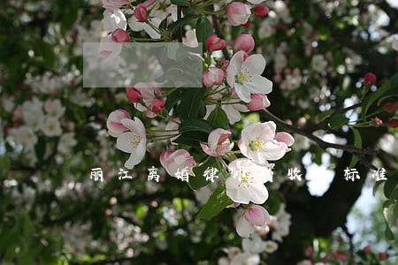 丽江离婚律师的收费标准 丽江离婚律师的收费标准