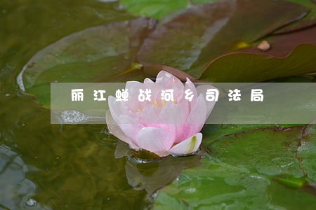 丽江蝉战河乡司法局 丽江蝉战河乡司法局