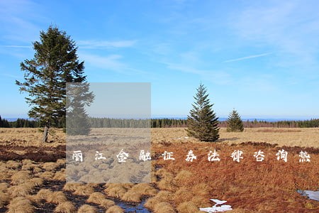 丽江金融证券法律咨询热线 丽江金融证券法律咨询热线
