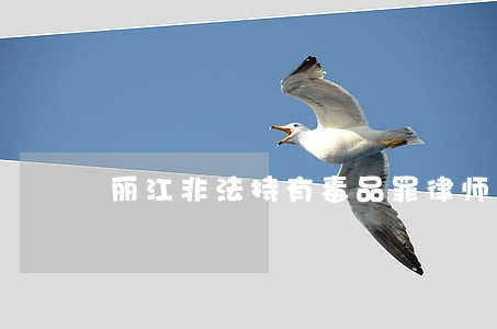 丽江非法持有毒品罪律师