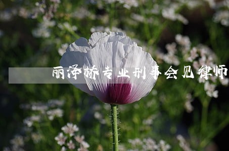 丽泽桥专业刑事会见律师收费标准 丽泽桥专业刑事会见律师收费标准