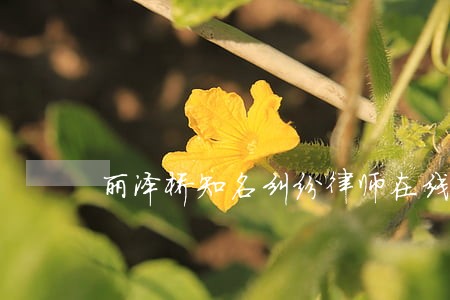 丽泽桥知名纠纷律师在线解答 丽泽桥知名纠纷律师在线解答