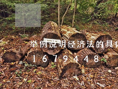举例说明经济法的具体作用/2023021679448