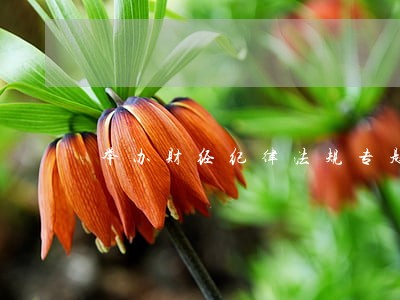 举办财经纪律法规专题培训班 举办财经纪律法规专题培训班
