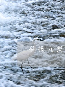 举报九类交通违法将获高额奖励 举报九类交通违法将获高额奖励