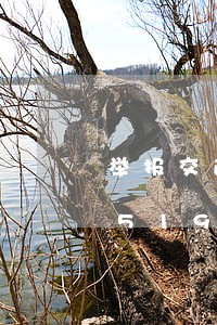 举报交通违法联系方式/2023013051926 举报交通违法联系方式/2023013051926