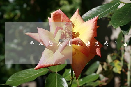举报他人违法修建两年无果 举报他人违法修建两年无果