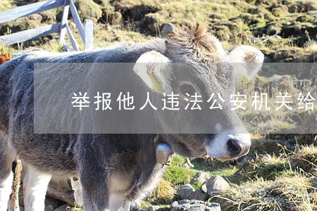 举报他人违法公安机关给说法吗 举报他人违法公安机关给说法吗