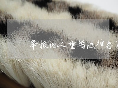 举报他人重婚法律咨询 举报他人重婚法律咨询