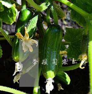 举报司法工作人员的材料 举报司法工作人员的材料