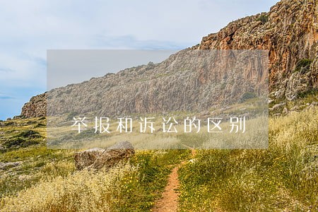 举报和诉讼的区别 举报和诉讼的区别