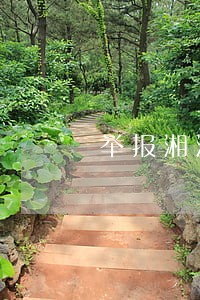 举报湘潭县白石镇镇长违法行政