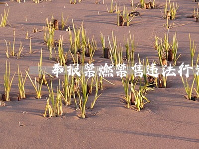 举报禁燃禁售违法行为 举报禁燃禁售违法行为