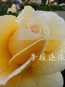 举报违法违规重奖
