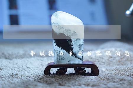 举报铁力市委书记张泱违法 举报铁力市委书记张泱违法