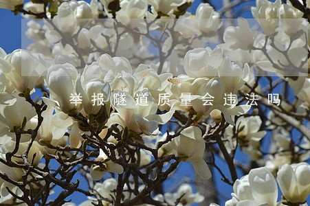 举报隧道质量会违法吗 举报隧道质量会违法吗