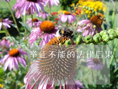举证不能的法律后果 举证不能的法律后果