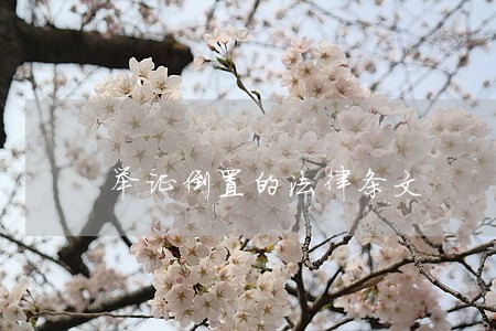 举证倒置的法律条文 举证倒置的法律条文