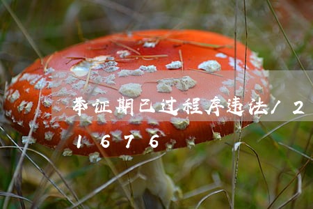 举证期已过程序违法/2023013171676 举证期已过程序违法/2023013171676