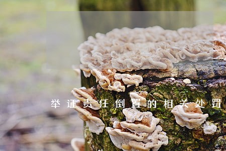 举证责任倒置的相关处罚条例 举证责任倒置的相关处罚条例