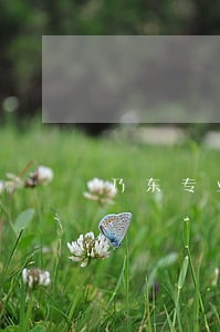 乃东专业征地拆迁律师 乃东专业征地拆迁律师